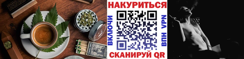 Canna-Cookies конопля где купить наркоту Нальчик